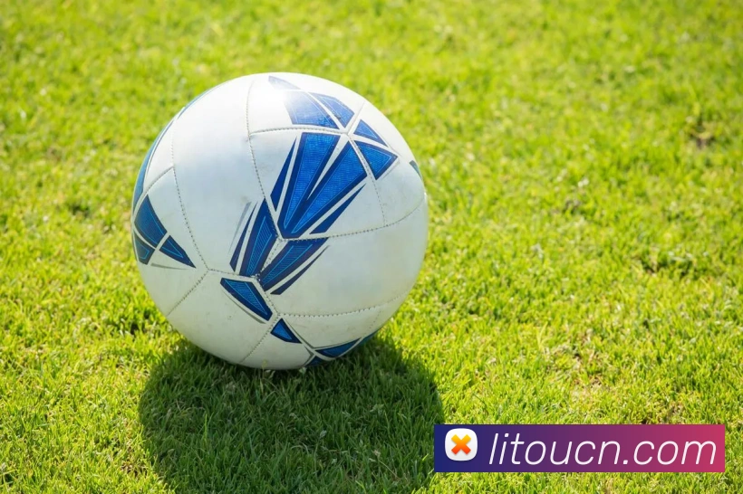 芒果体育平台生态图