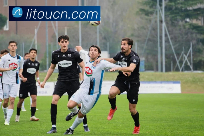 芒果体育全站App