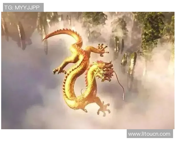 麦卡利斯特的传奇人生与不屈精神探索之旅